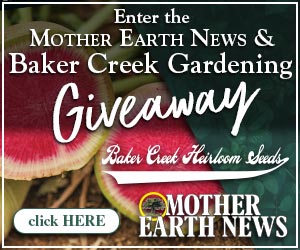 Enter for your chance to win!